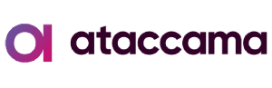 Ataccama partners